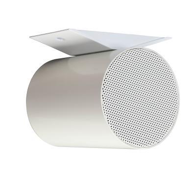 2 x 5&amp;quot; Bi-Directional Sound Projector 145 - 17.5 k Hz White
