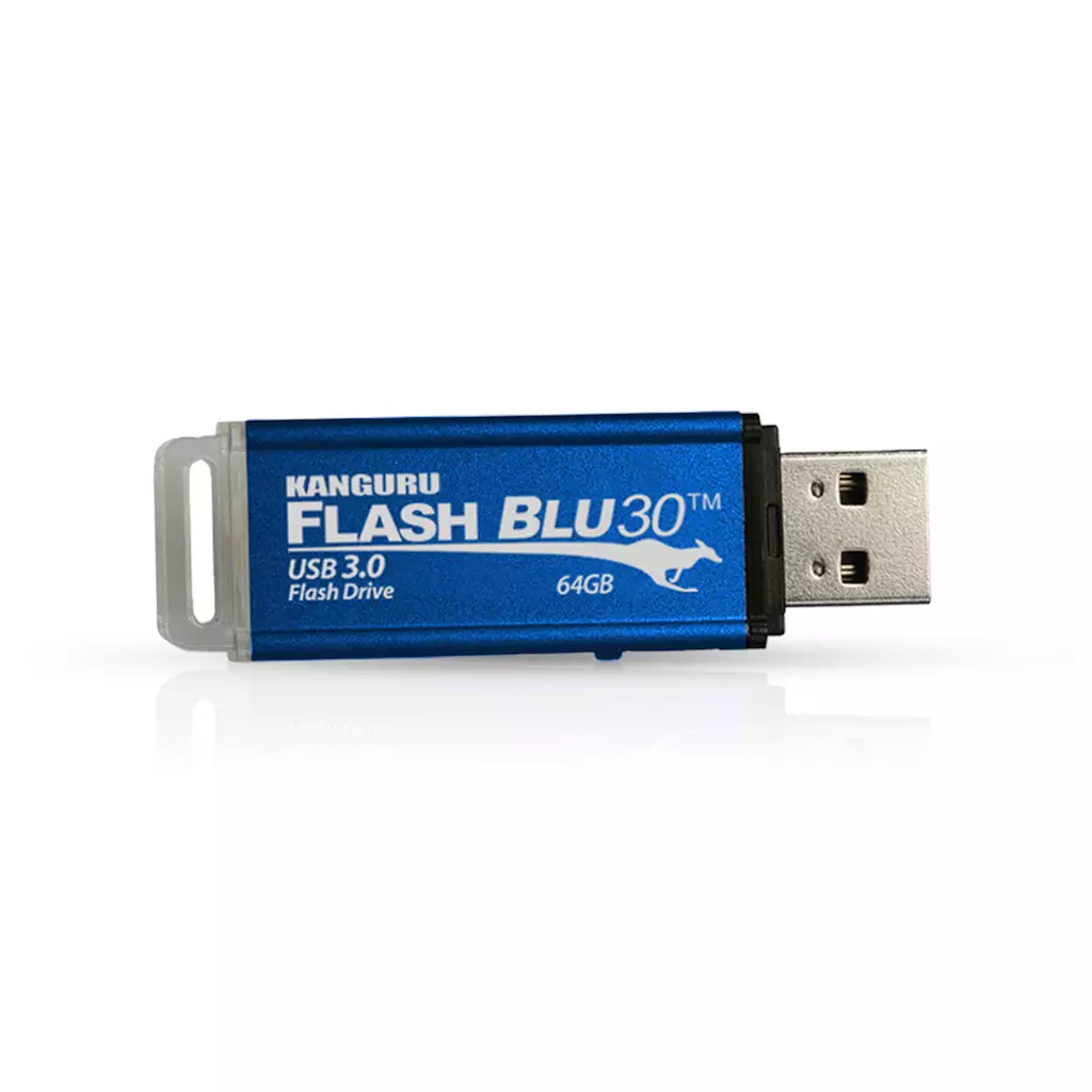 Istorage Kanguru Flashblu30 Superspeed USB3.0 64GB |Secure Flash Drive| Physical Write Protect Switch | Windows Ready Boost Compatible 64 Gb Usb Type-A 3.2 Gen 1 (3.1 Gen 1) 145 Mb/S Swivel Blue