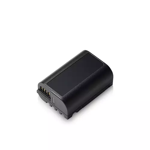 Photos - Other for Computer Panasonic DMW-BLK22E action sports camera accessory Camera battery 
