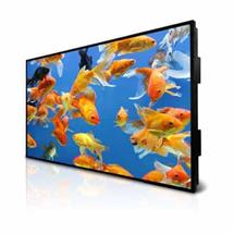 DynaScan DS552LT4 138.8 cm (54.6") LCD Full HD Digital signage flat